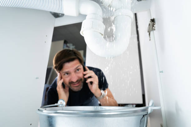 Best Commercial Plumbing Services  in Newberry, FL