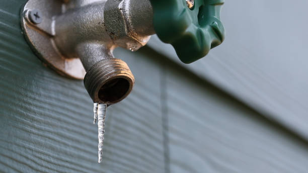 Best Septic Systems  in Newberry, FL