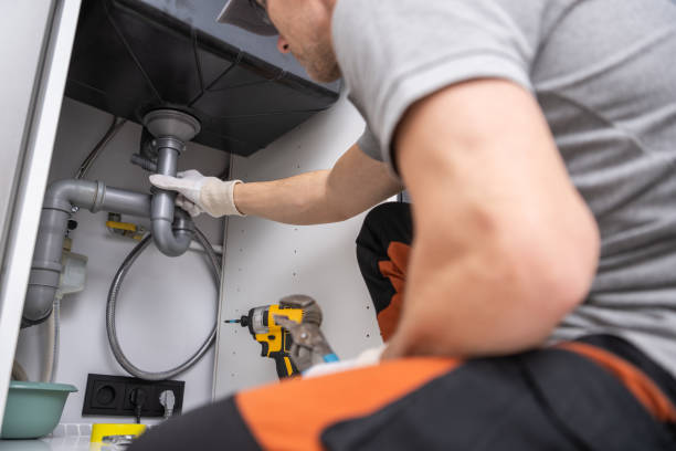 Best Local Plumber Services  in Newberry, FL